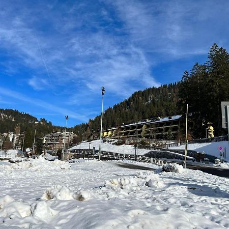 Appartement Mansarda Tra Le Dolomiti Di Brenta à Bocenago Extérieur photo